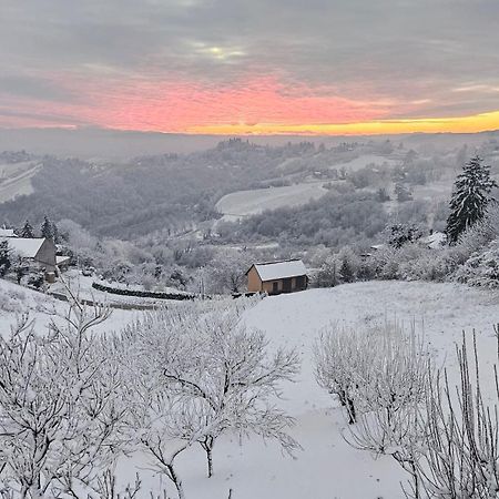 Villa Wine Panorama House Jastrebarsko Esterno foto