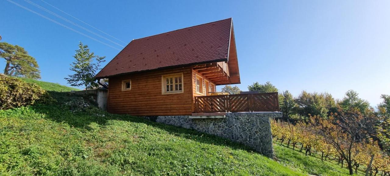 Villa Wine Panorama House Jastrebarsko Esterno foto