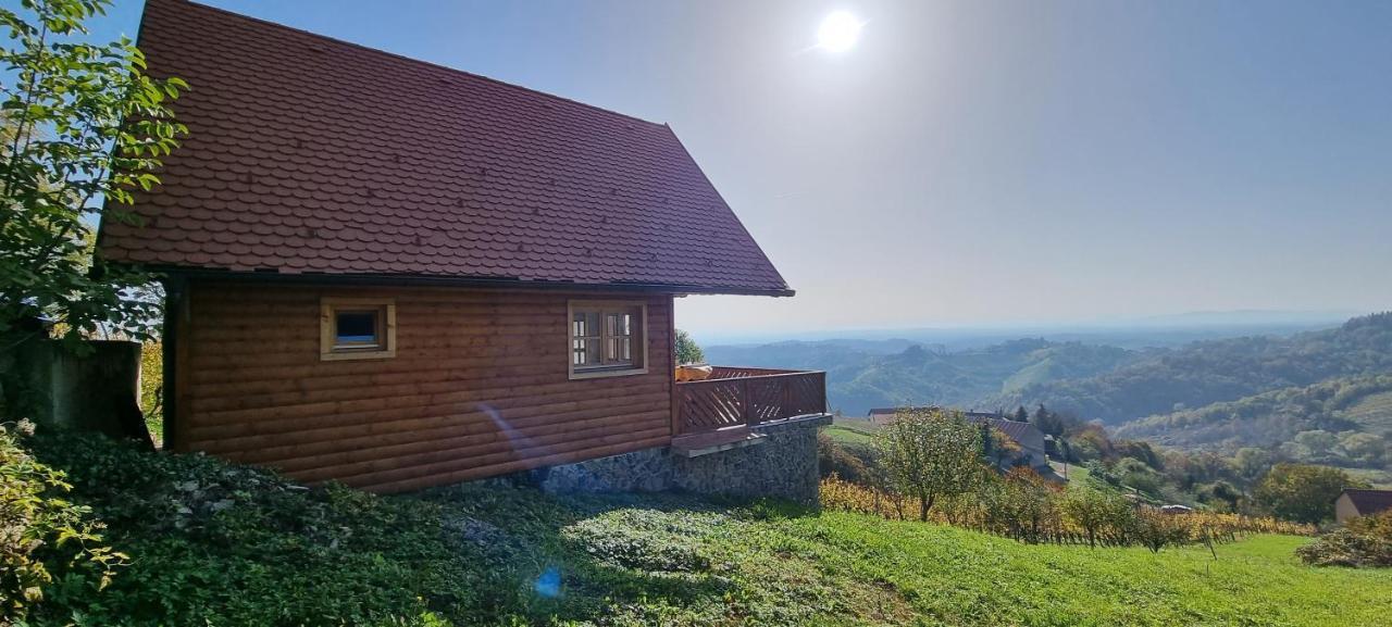 Villa Wine Panorama House Jastrebarsko Esterno foto