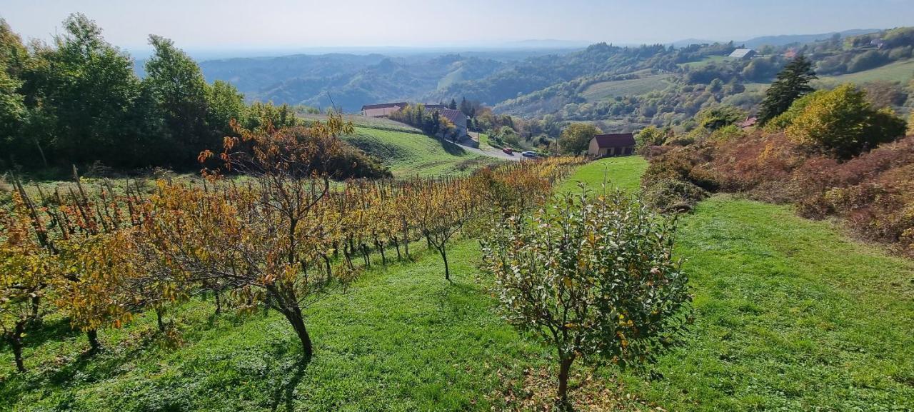 Villa Wine Panorama House Jastrebarsko Esterno foto