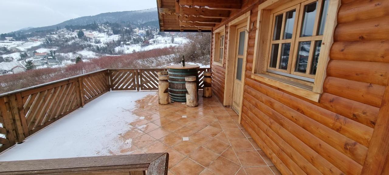 Villa Wine Panorama House Jastrebarsko Esterno foto