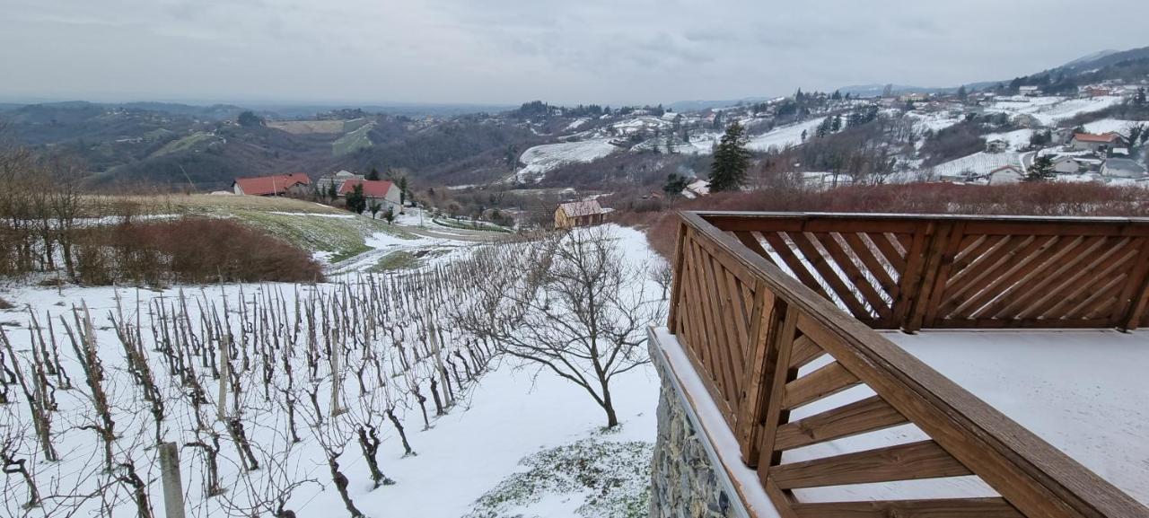 Villa Wine Panorama House Jastrebarsko Esterno foto